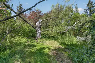 324 Liberty St, Ashland, OR 97520 - Photo 31