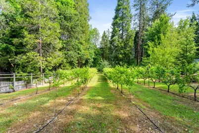 5876 Donaldson Road, Grants Pass, OR 97526 - Photo 9