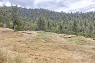 9595 Sterling Creek Rd, Jacksonville, OR 97530 - Photo 67
