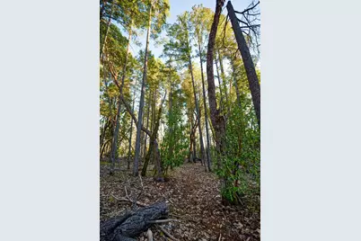 0 Redwood Highway #39-08-16-D0 Lot 600, Cave Junction, OR 97523 - Photo 7