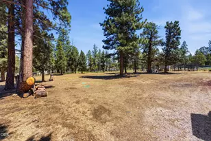 16738 Pine Tree Ln, Sisters, OR 97759 - Photo 31