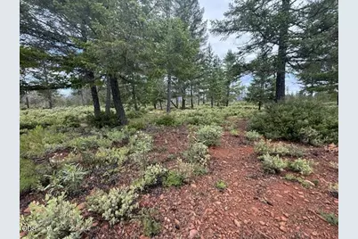 32001 Redwood Highway, Cave Junction, OR 97523 - Photo 1
