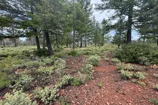32001 Redwood Hwy, Cave Junction, OR 97523 - Photo 1