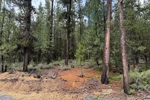 17717 Hwy 58, Crescent Lake, OR 97733 - Photo 51