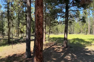 15740 Cornell Rd, La Pine, OR 97739 - Photo 49