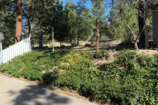 3737 Thicket Ct, Klamath Falls, OR 97601 - Photo 41