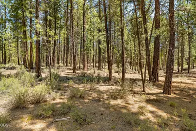 51600 Pine Loop Drive, La Pine, OR 97739 - Photo 13