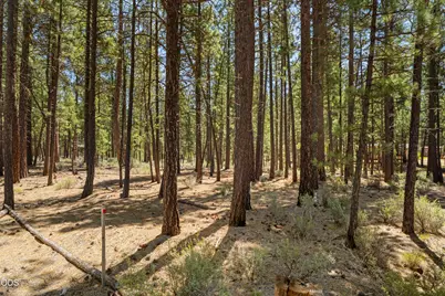 51600 Pine Loop Drive, La Pine, OR 97739 - Photo 15
