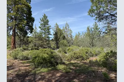 0 Porpoise Lane #Lot 29, Bonanza, OR 97623 - Photo 9