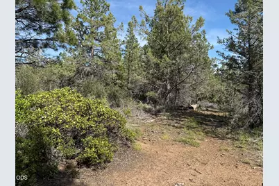 0 Porpoise Lane #Lot 29, Bonanza, OR 97623 - Photo 3