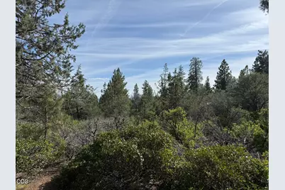 0 Porpoise Lane #Lot 29, Bonanza, OR 97623 - Photo 11