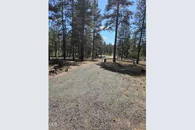 31710 Spaniel Lane, Bonanza, OR 97623 - Photo 7