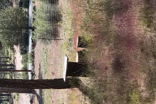 31710 Spaniel Ln, Bonanza, OR 97623 - Photo 45