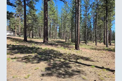 31710 Spaniel Lane, Bonanza, OR 97623 - Photo 47