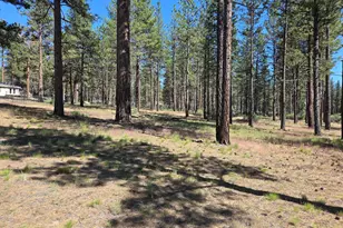 31710 Spaniel Ln, Bonanza, OR 97623 - Photo 47