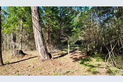 1760 Mill Creek Drive, Prospect, OR 97536 - Photo 35