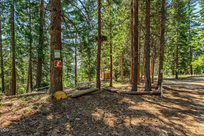 500 Mt Ashland Ski Road, Ashland, OR 97520 - Photo 39