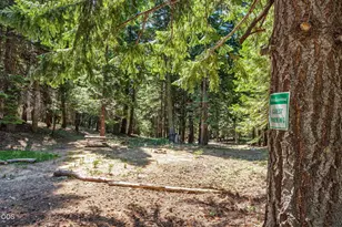 500 Mt Ashland Ski Rd, Ashland, OR 97520 - Photo 53