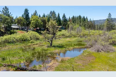 118 Airport Drive, Cave Junction, OR 97523 - Photo 3