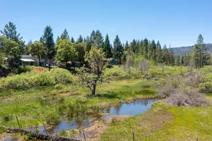 118 Airport Dr, Cave Junction, OR 97523 - Photo 3