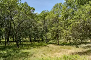 7833 Lower River Rd, Grants Pass, OR 97526 - Photo 99