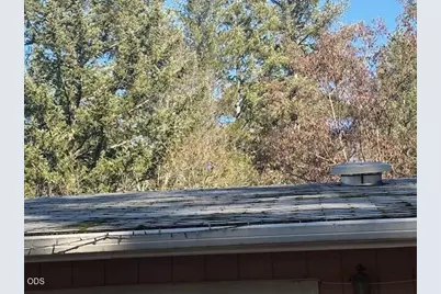 235 Shadowbrook Drive, Cave Junction, OR 97523 - Photo 15