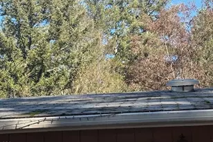 235 Shadowbrook Dr, Cave Junction, OR 97523 - Photo 15