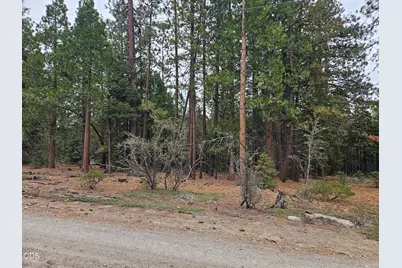 0 Blackbird Drive #Lots 33, 34, 35, Bonanza, OR 97623 - Photo 7