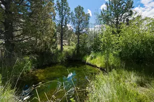 26547 Chimney Gulch Rd, John Day, OR 97845 - Photo 67