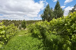26547 Chimney Gulch Rd, John Day, OR 97845 - Photo 55