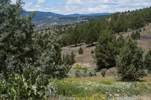 26547 Chimney Gulch Rd, John Day, OR 97845 - Photo 13
