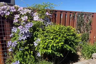 895 NE Hudspeth Cir, Prineville, OR 97754 - Photo 11