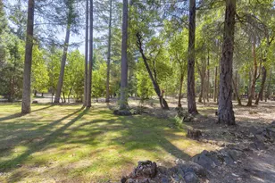 1740 Queens Branch Rd, Rogue River, OR 97537 - Photo 11