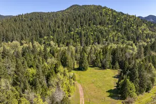 8501 Deer Creek Rd, Selma, OR 97538 - Photo 61