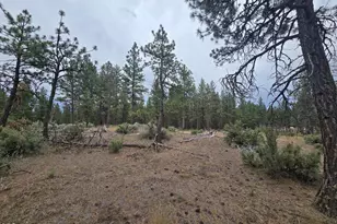 Elde St, Chiloquin, OR 97624 - Photo 1