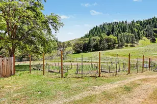 5758 Sterling Creek Rd, Jacksonville, OR 97530 - Photo 39