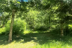 3901 Placer Rd, Sunny Valley, OR 97497 - Photo 3