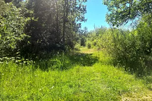 3901 Placer Rd, Sunny Valley, OR 97497 - Photo 45