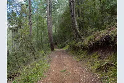 910 Reeves Creek Road, Selma, OR 97538 - Photo 43