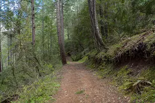 910 Reeves Creek Rd, Selma, OR 97538 - Photo 43
