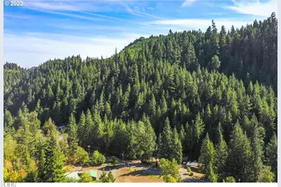 0 Westfir Road #TL 1400, Westfir, OR 97492 - Photo 5