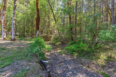 484 Round Prairie Road, Wilderville, OR 97543 - Photo 65