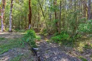 484 Round Prairie Rd, Wilderville, OR 97543 - Photo 65