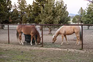 4691 NW 91st St, Redmond, OR 97756 - Photo 37