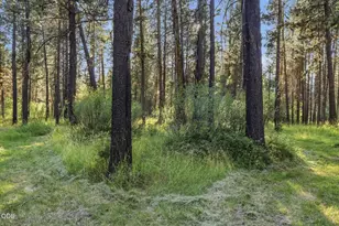 16801 Gross Dr, Bend, OR 97707 - Photo 59
