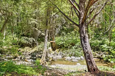4300 Pleasant Creek Road, Rogue River, OR 97537 - Photo 43