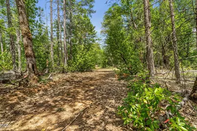[Address not provided], Cave Junction, OR 97523 - Photo 23