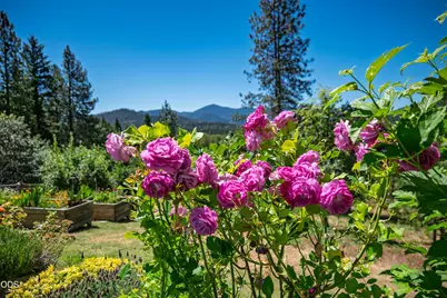 191 Foxwood Drive, Grants Pass, OR 97527 - Photo 49