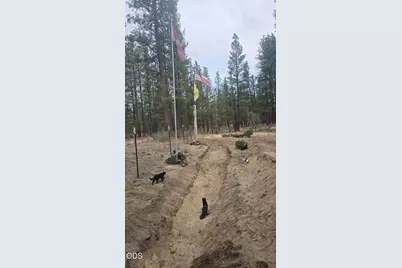 0 Smith Drive #Lot 5, Beatty, OR 97621 - Photo 41