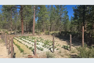 0 Smith Drive #Lot 5, Beatty, OR 97621 - Photo 35
